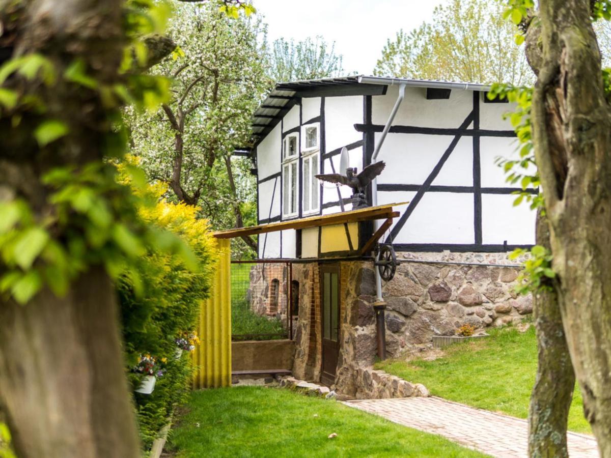 Gartenbungalow 2 Rechte Seite Klein Pravtshagen 외부 사진