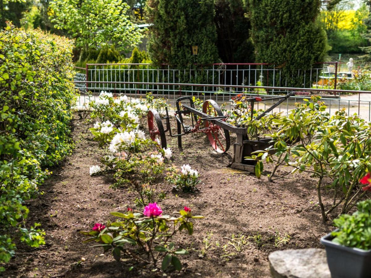 Gartenbungalow 2 Rechte Seite Klein Pravtshagen 객실 사진