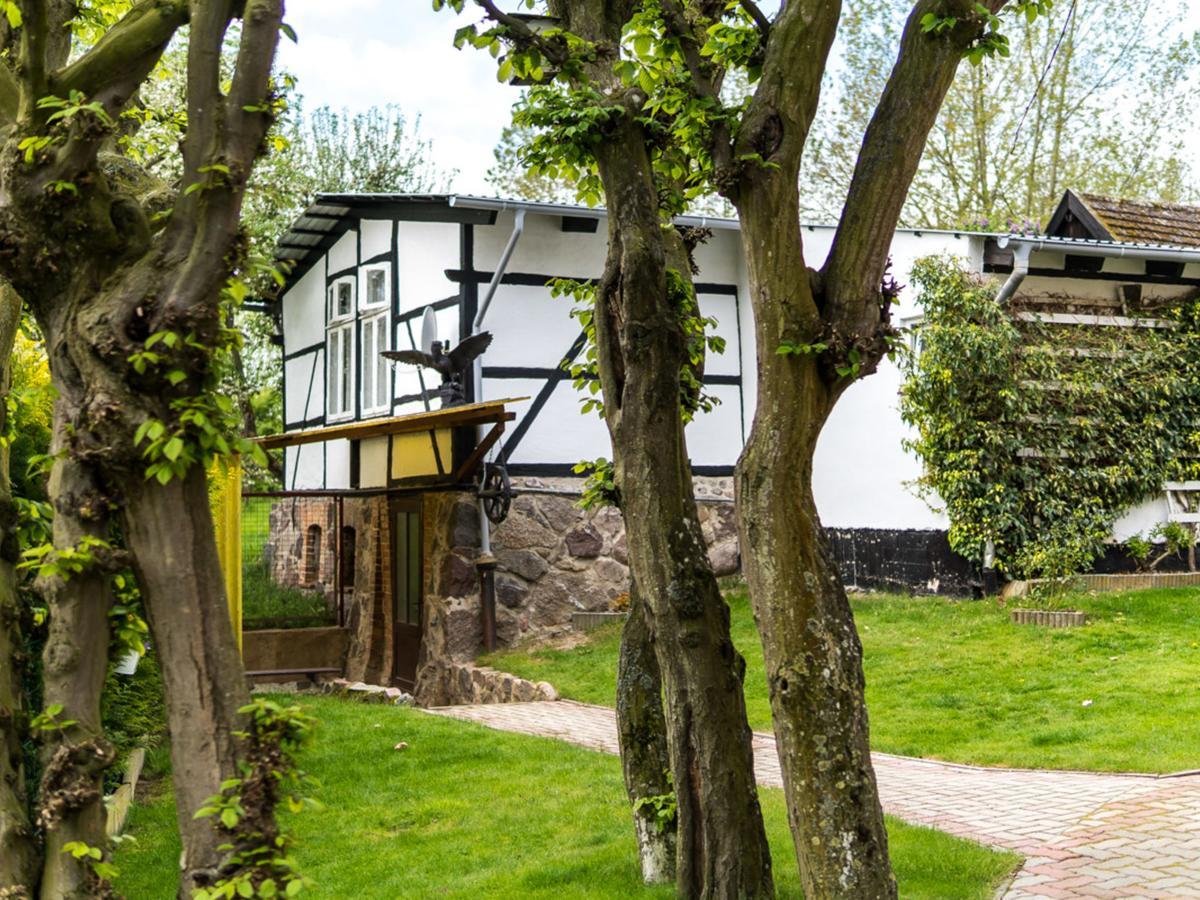 Gartenbungalow 2 Rechte Seite Klein Pravtshagen 외부 사진